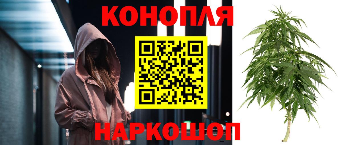Конопля гибрид Киров